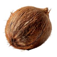 Whole coconut fruit tropical food brown shell raw ingredient healthy diet isolated on transprint background png