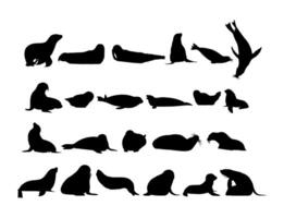 Pinnipeds or Seals Group Silhouette, can use for Logo, Pictogram, Aquatic Animal, Poster or Graphic Design Element. vector