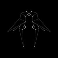 Pair Macaw, Ara, Parrot Polygonal Lines, can use for Logo Gram, Pictogram, Bird Figure, Website, Apps, or Graphic Design Element. BW, Flat and Editable vector