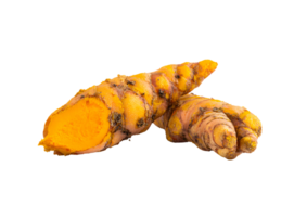 Fresh turmeric and its bright color displayed on a transparent background as an essential herb and spice. png