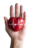 Hands embrace a red heart symbolizing love, health, and vitality against a transparent background png