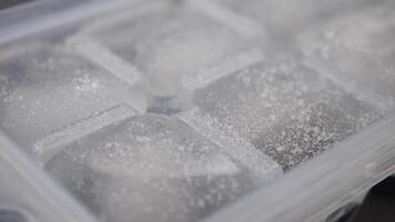Ice cubes forming in a tray on a kitchen countertop video