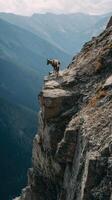 The Cliff Master at a High Altitude photo