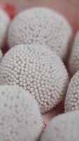 closeup of indian sweet with round shape video