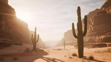 Desertcore Sunburst and Shadowplay photo
