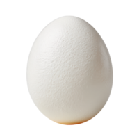 White Egg on a Solid Background for Culinary or Natural Themes png
