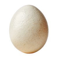 Close-Up of a Smooth White Egg Isolated on a Clean Background png