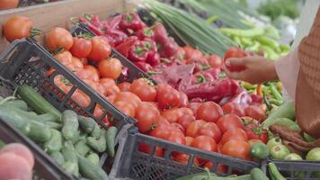 Fresh vegetables at a busy farmers market in summer video