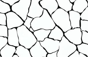Seamless Black and White Mosaic Stone Pattern photo