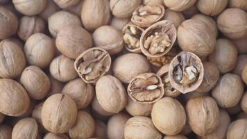 Walnuts in shell ready for processing in a local market video