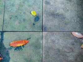Autumnal Stone Tiles A Serene Minimalist Composition photo