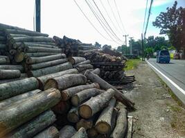 Roadside Timber Pile Rustic Logs in Natural Light photo