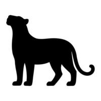 Tiger silhouette standing looking up vector
