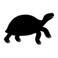 Realistic tortoise silhouette looking up vector