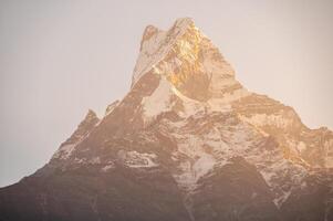Mt.Machapuchare at dawn the holy mountain in Annapurna region in Nepal seen from Mardi Himal viewpoint. photo