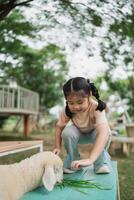 Happy young girl feeding adorable sheep with fresh green grass in a serene outdoor farm setting, enjoying a sunny day surrounded by nature's beauty. photo