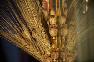 Detailed view of a beautiful arrangement of wheat and poppy seed heads, perfect for fall. photo