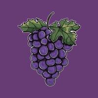 A detailed artistic illustration of a purple grape cluster with green leaves, depicted against a purple background. Ideal for food, beverage, or vineyard related visual projects and graphic designs. vector