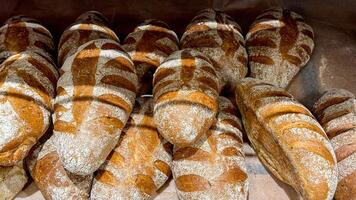 Golden crusty sourdough loaves, evoking ancestral harvest festival vibes, bakings ancient ritual, Lammas celebration of cornucopian abundance photo