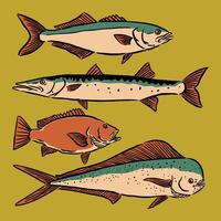 Colorful illustrations of different fish vector