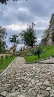 Ancient stone path meanders through mystical castle garden whispers, echoing medieval daydreams, perfect for World Heritage Day wanderlust photo