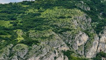 Lush tapestry of verdant cliffs evokes Earth Days celebration, whispering secrets of nature on Mountain Days majestic tapestry photo