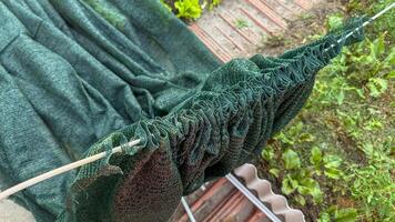 Sun dappled garden netting flutters like a verdant cocoon, whispering secrets of harvest moon rituals and Wiccan sabbats photo
