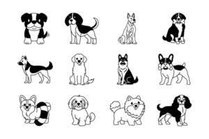 black and white illustrations of various dog breeds collection vector