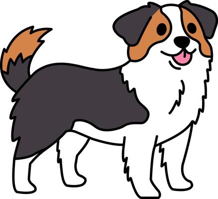 isolate illustration of a Australian Shepherd dog