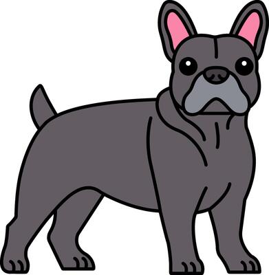 isolate illustration icon of a French Bulldog