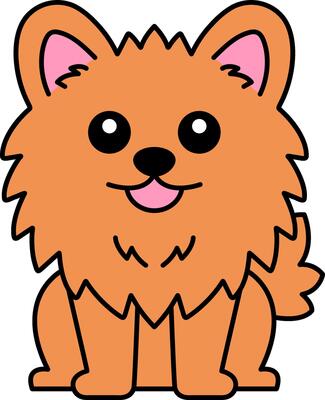 isolate icon of a Pomeranian