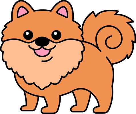 isolate illustration of a Pomeranian dog
