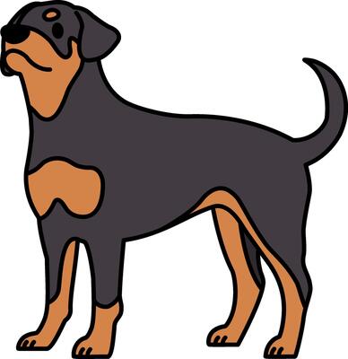 isolate illustration icon of a Rottweiler