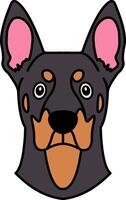 isolate illustration of a Doberman Pinscher dog vector