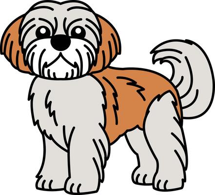 isolate illustration of a Shih Tzu dog