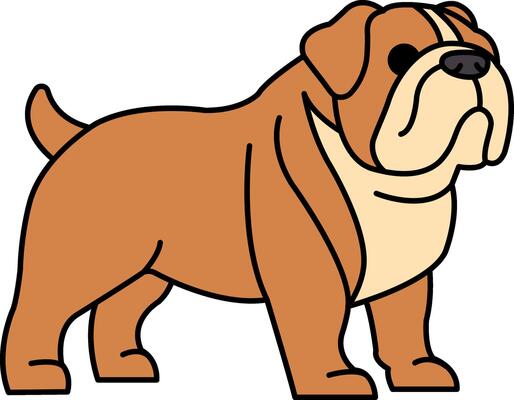 isolate illustration of a Bulldog