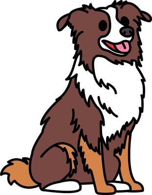 isolate illustration of a Border Collie dog