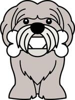 isolate icon of a Shih Tzu dog vector