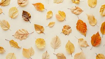 Seamless pattern of autumn leaves on a white background, perfect for a nature-inspired seasonal design or wallpaper photo