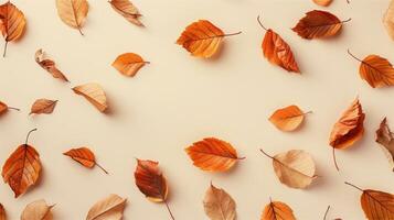 Seamless autumn leaf patterns and borders with colorful fall foliage illustrations, perfect for nature-inspired designs photo