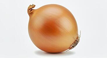 Single Fresh Onion Isolated on a Clean White Background photo