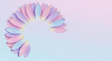 Pastel flower petals arranged in a semicircle on a soft background photo