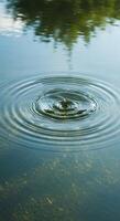 A drop of water creates a ripple effect on a lake photo