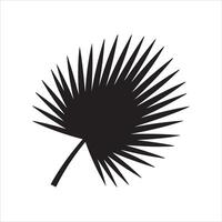 Striking black silhouette of a fan palm leaf on a white background vector
