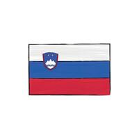 Hand-drawn outline of the Slovenian flag. Ideal for educational materials, banners, political infographics, and presentations on EU countries. vector