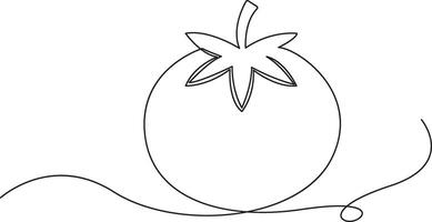 Continuous one line tomato, Line Art Illustration for Sustainable Design. vector