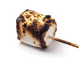 perfectly roasted marshmallow on stick with golden brown char photo