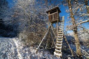 Hunting tower at the edge of the winter forestTower hunting Winter Forests Edge photo