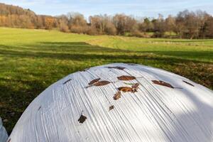 Bales of hay wrapped in film on an empty pasture close-upCloseup of hay bales wrapped in film photo