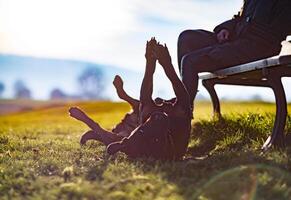 Rottweiler somersaults on walk with his owner on a green meadoRottweiler somersaults on walk with owner photo